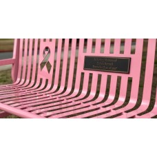 6 foot JACKSON BENCH With BACK PLAQUE ONLY VERTICAL SLAT PC